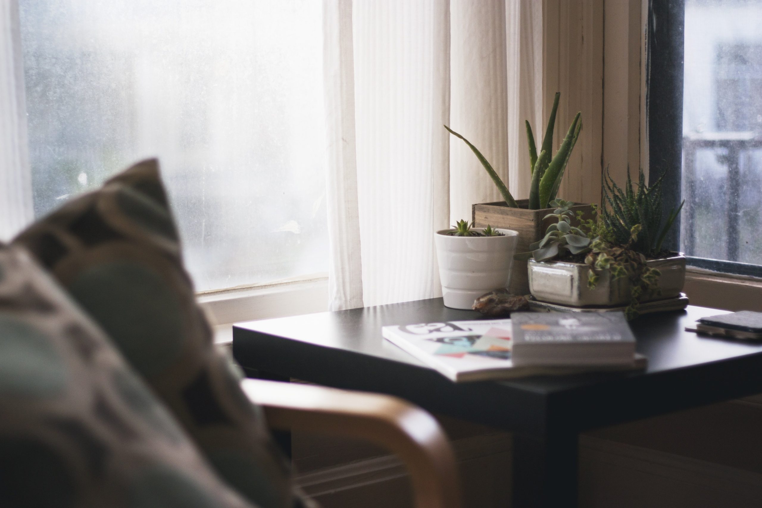 Corner unit with plants and books inside home