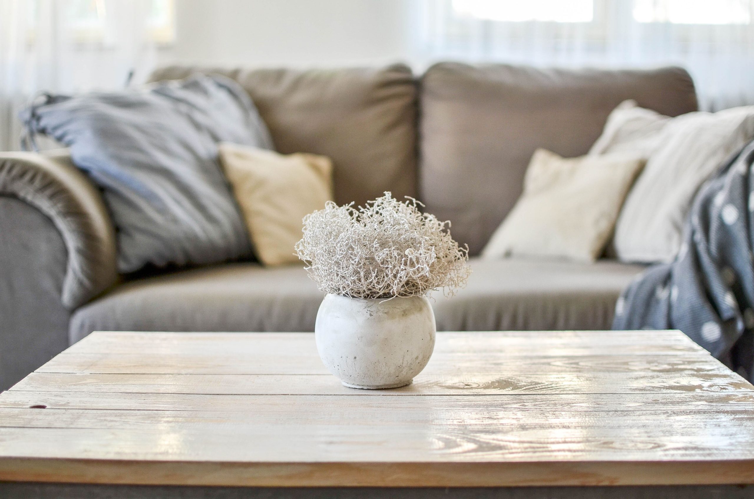 Sofa with ornament on coffee table